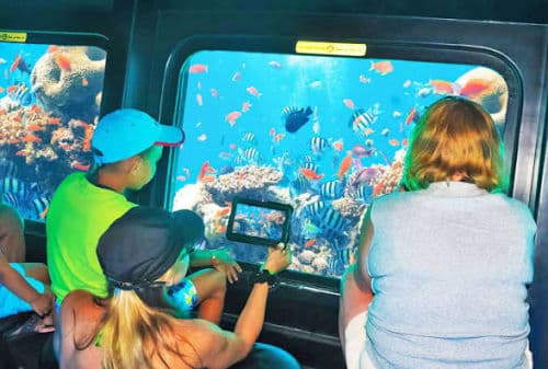 Family Experiences