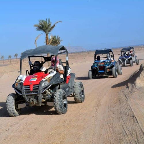 Quad Biking, Camel Ride, Bedouin Dinner & Entertainment Show Experience from Sharm El Sheikh