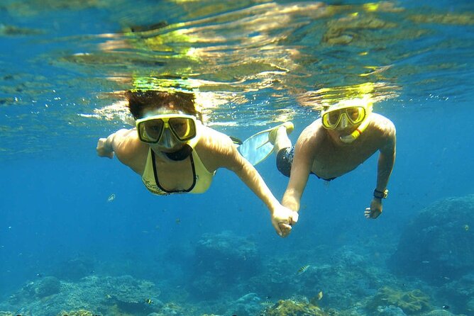 Ganztägiges Schnorcheln auf der Insel Tiran, 1 Einführungstauchgang in Sharm el Sheikh